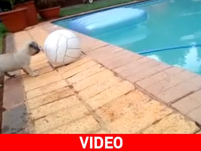 Το πάθημα θα σου γίνει μάθημα…